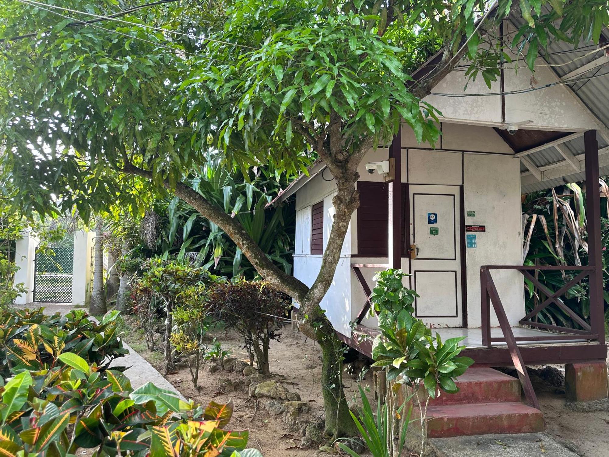 Yoga Dreams Negril Hotell Exteriör bild